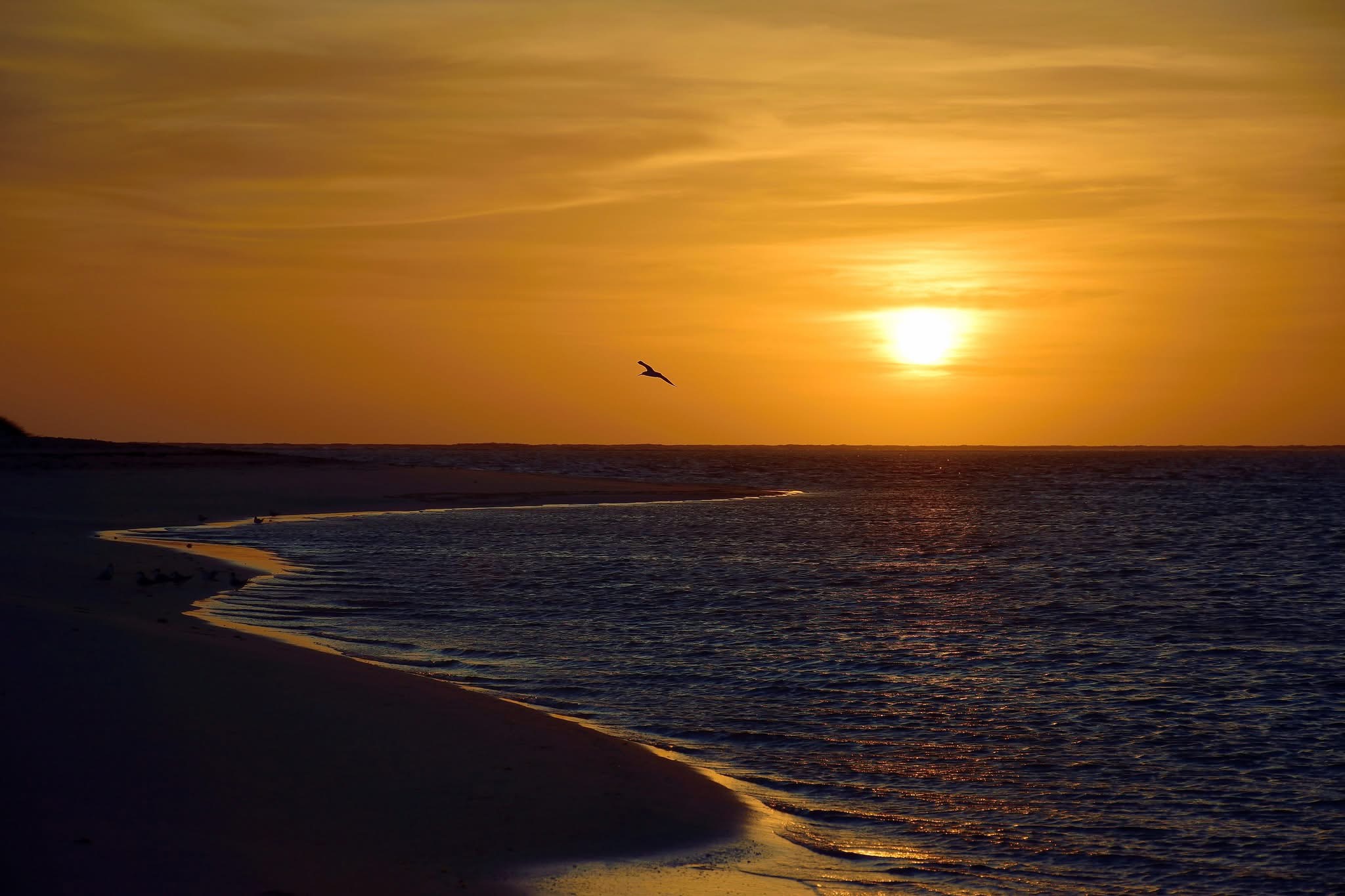 Orange Sky